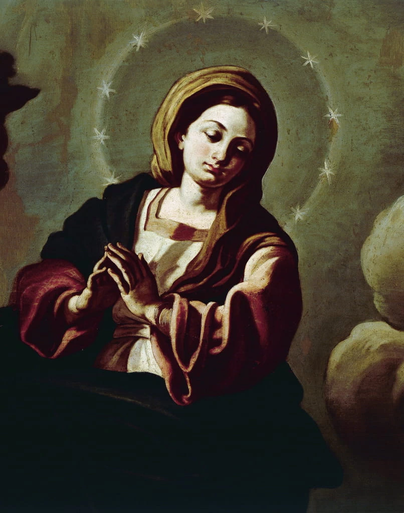 Immacolata Concezione - Cattedrale di San Pardo, Larino, dettaglio